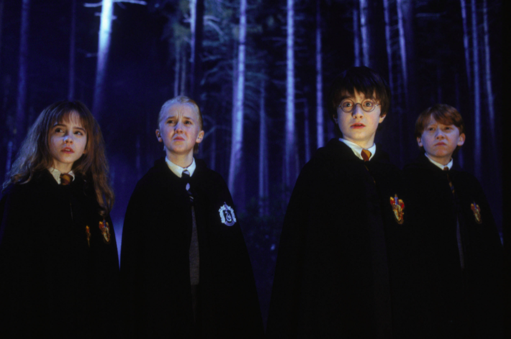 You Can Now Explore The Forbidden Forest Of Hogwarts