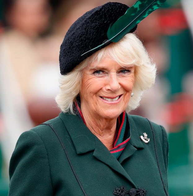 Queen Camilla Was Reportedly Behind Kate And Prince William’s Breakup