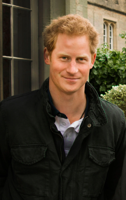 Here’s What You Need To Know About Prince Harry’s Memoir
