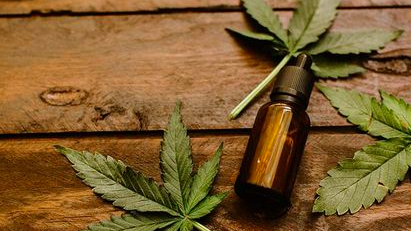 A Beginner’s Guide To CBD