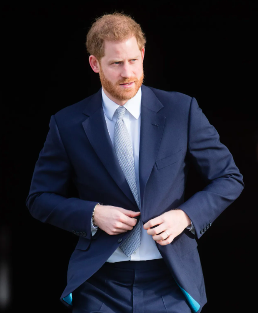 Prince Harry Could Lose His United States Visa