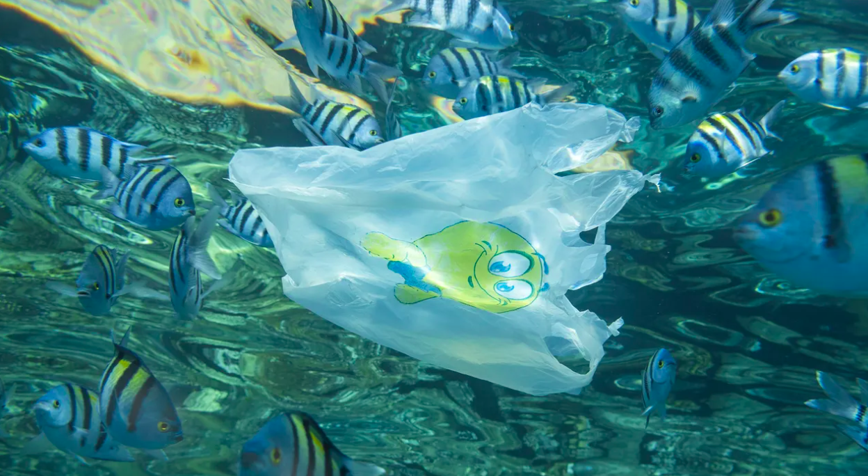 Recycled Plastic Isn’t The Cure We Think It Is