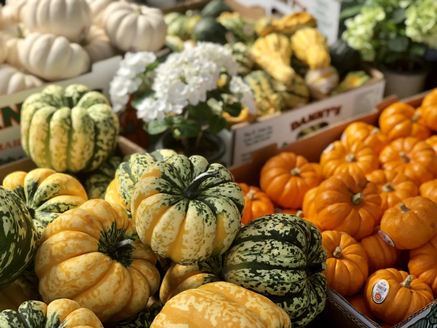 9 Healthy Foods To Eat This Autumn